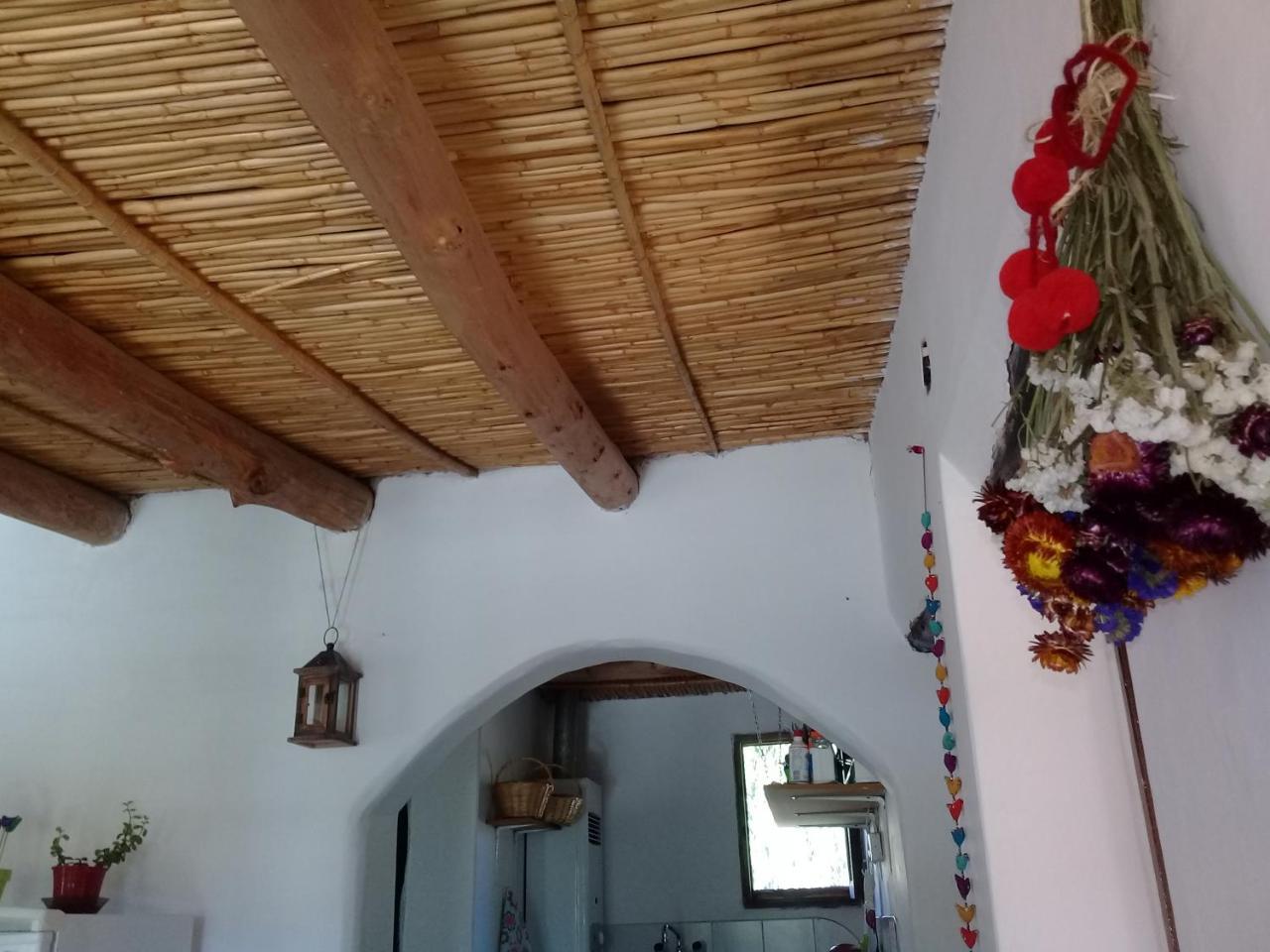 Cabana El Cardon,Casita En El Campo Quebradeno Умауака Екстериор снимка